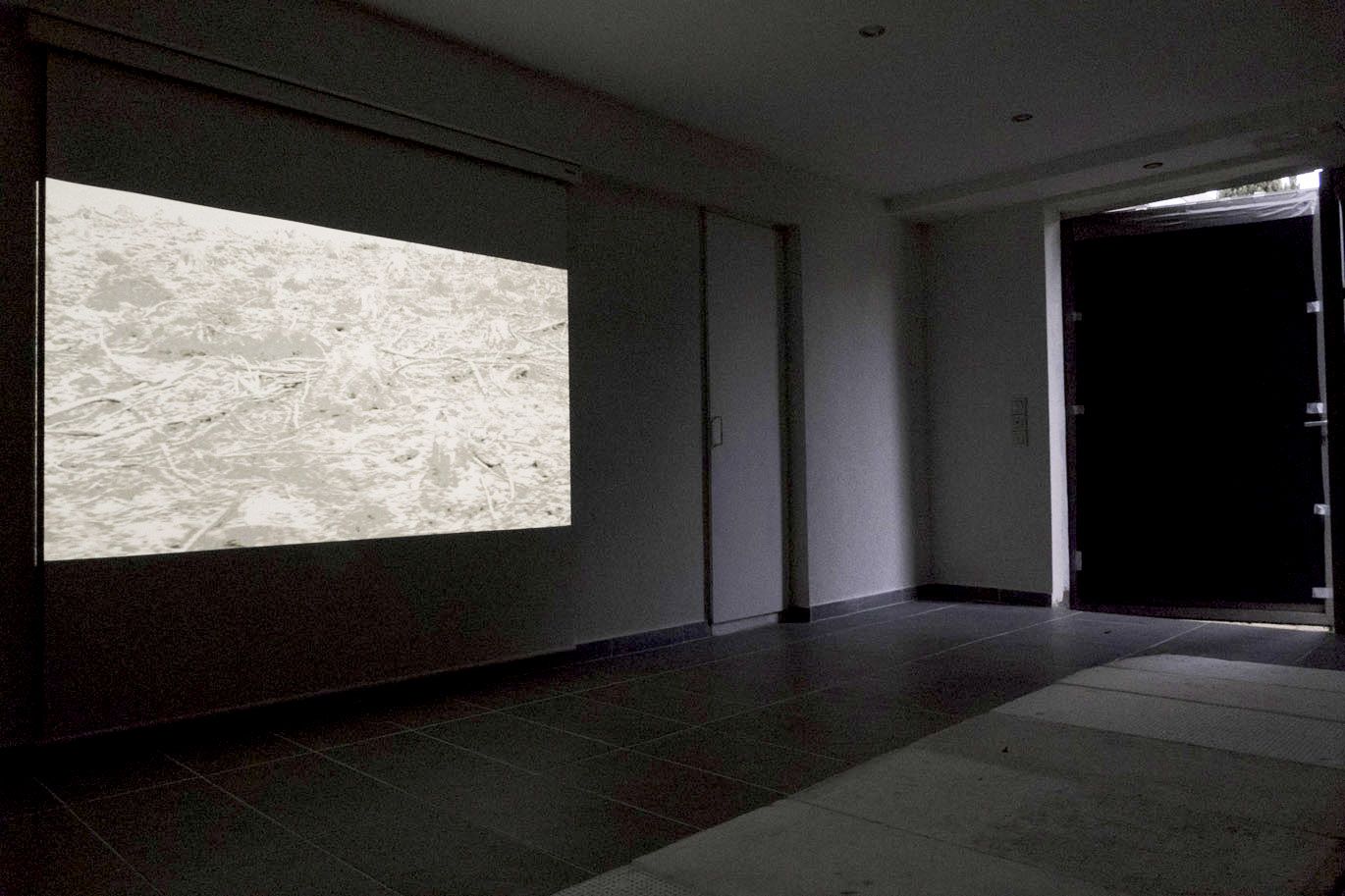 Foto von der Videopräsentation „Waldscherben“ von Inge Kamps in der Ausstellung WEG, Kulturwerkstatt Kircheib, 2022.