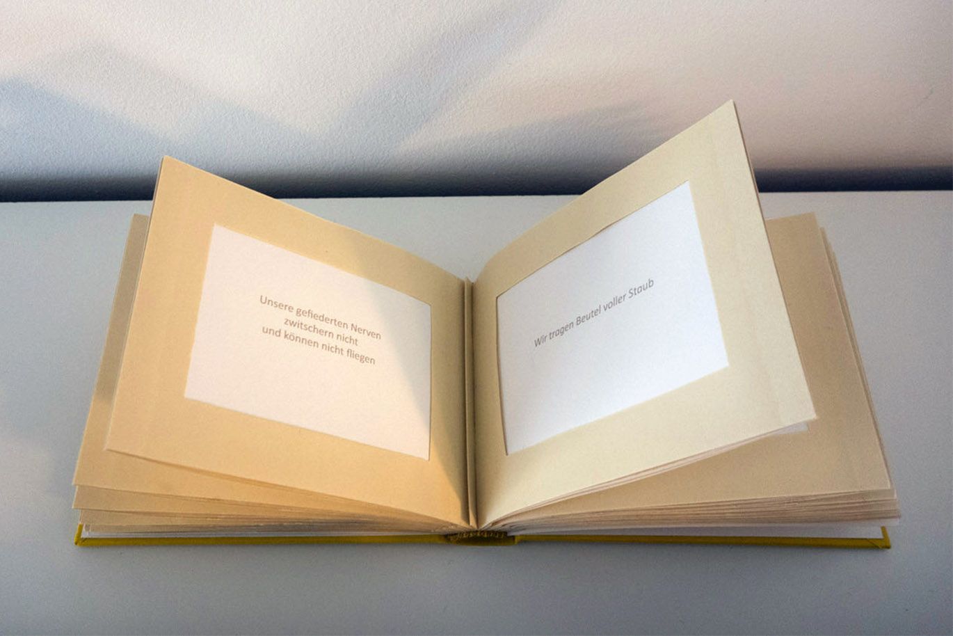  Foto von ein altes Fotoalbum das zum Textbuch geworden ist „Wenn Blüten Narben haben“ von Sonja Karle in der Ausstellung WEG, Kulturwerkstatt Kircheib, 2022.